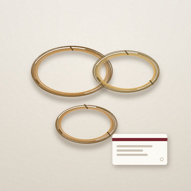 Bronze Main Strings – Set of 4